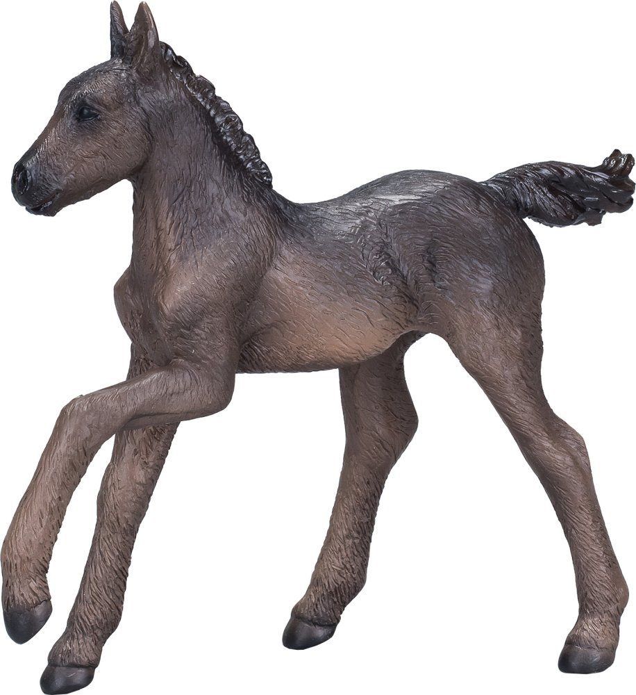 Mojo Arabské hříbě černé (obrázek 2)