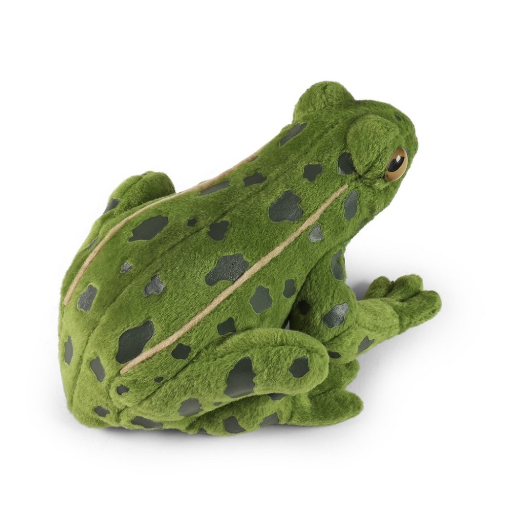 Rappa Plyšová žába 19 cm ECO-FRIENDLY (obrázek 5)