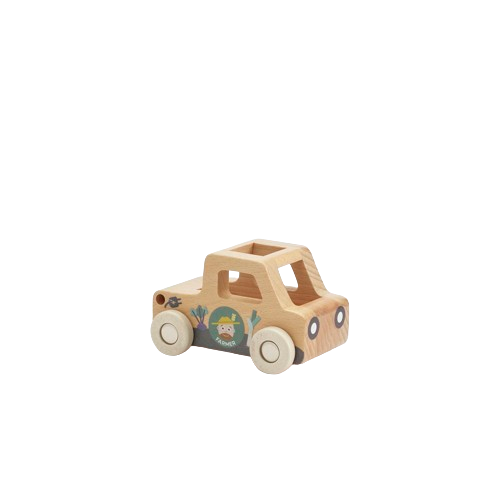 Moover Minicar - Manutenzione parco