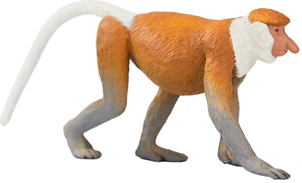 Mojo Nasique – Image 4