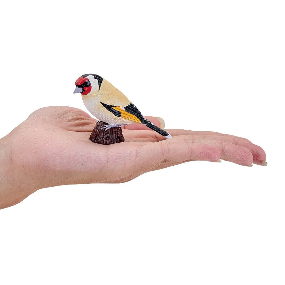 Mojo Stehlík obecný (obrázek 8)