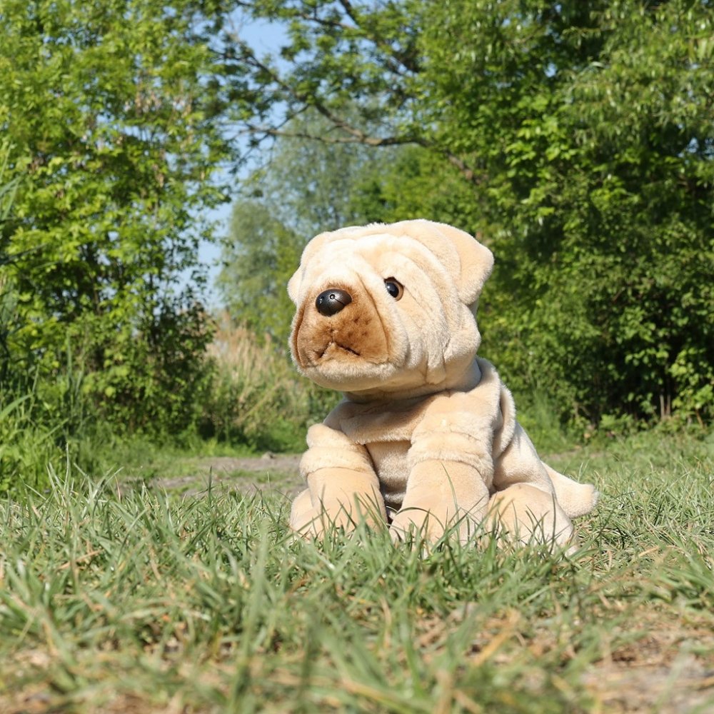 Rappa Plüss Shar Pei kutya 30 cm ECO-FRIENDLY - Image 4