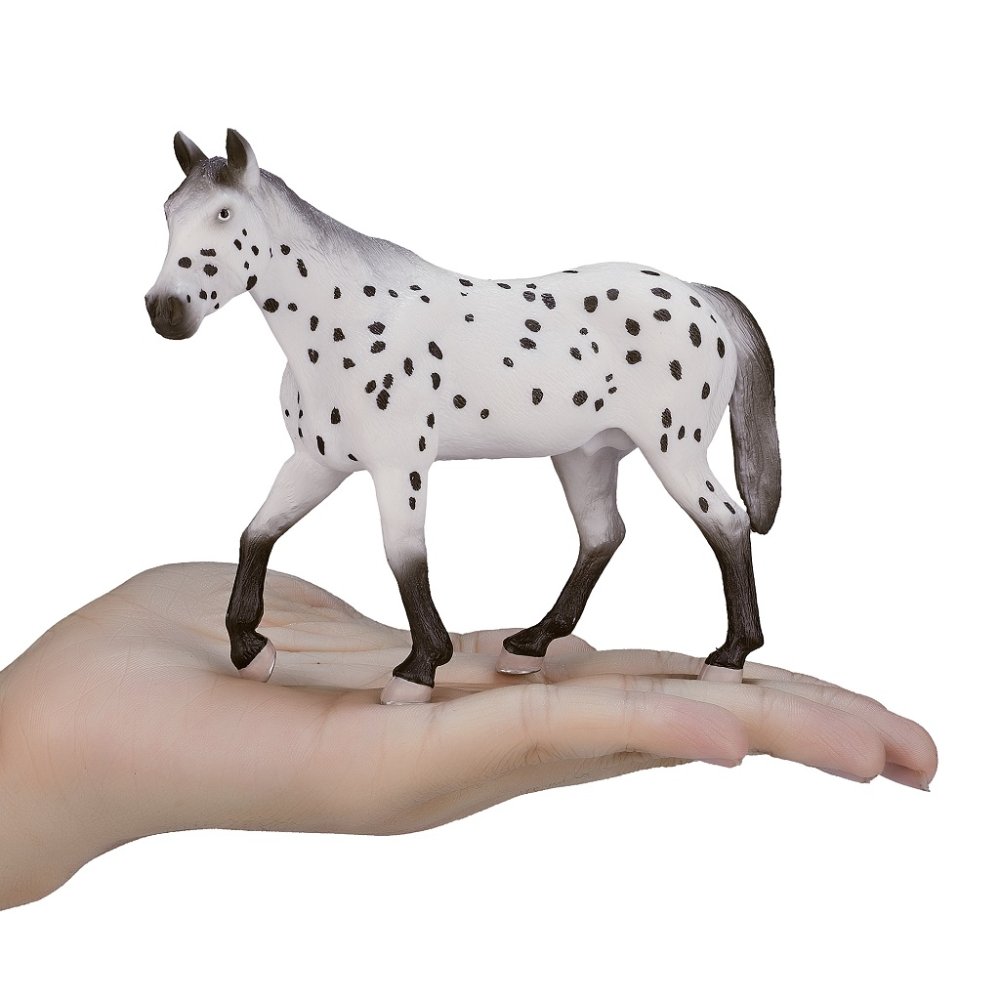 Mojo Appaloosa hřebec (obrázek 4)
