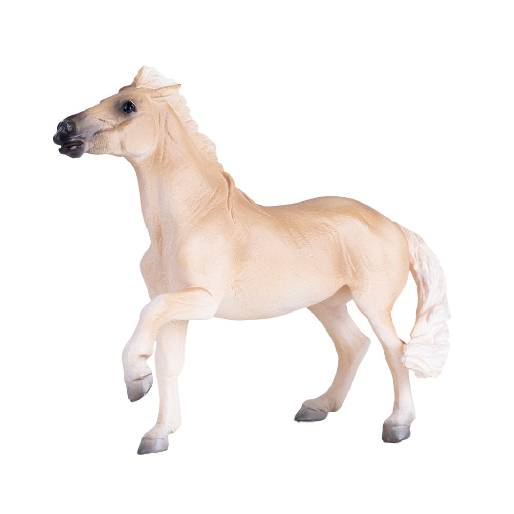 Mojo Kobyla Brumby (obrázek 4)
