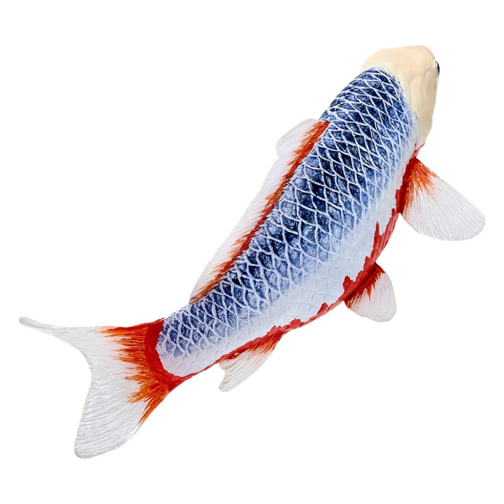 Mojo Kapr koi asagi (obrázek 4)