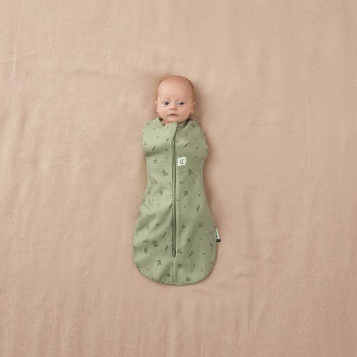 ERGOPOUCH Fascia E Sacco A Pelo 2in1 Cocoon Willow 3-6 M, 6-8 Kg, 0,2 Tog