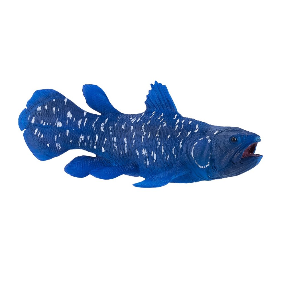 Mojo Coelacanthe