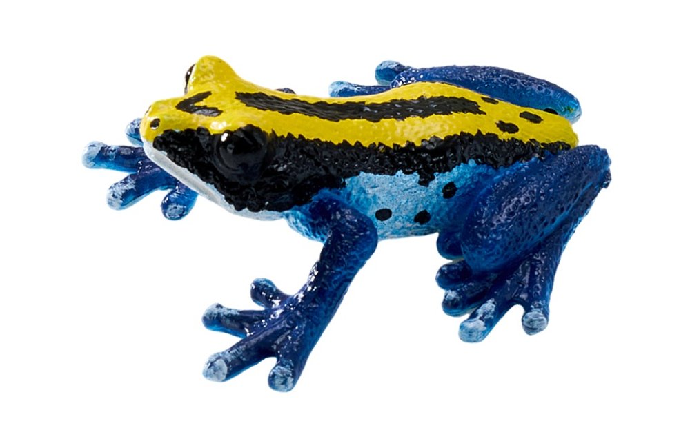 Mojo Żaba drzewołaz