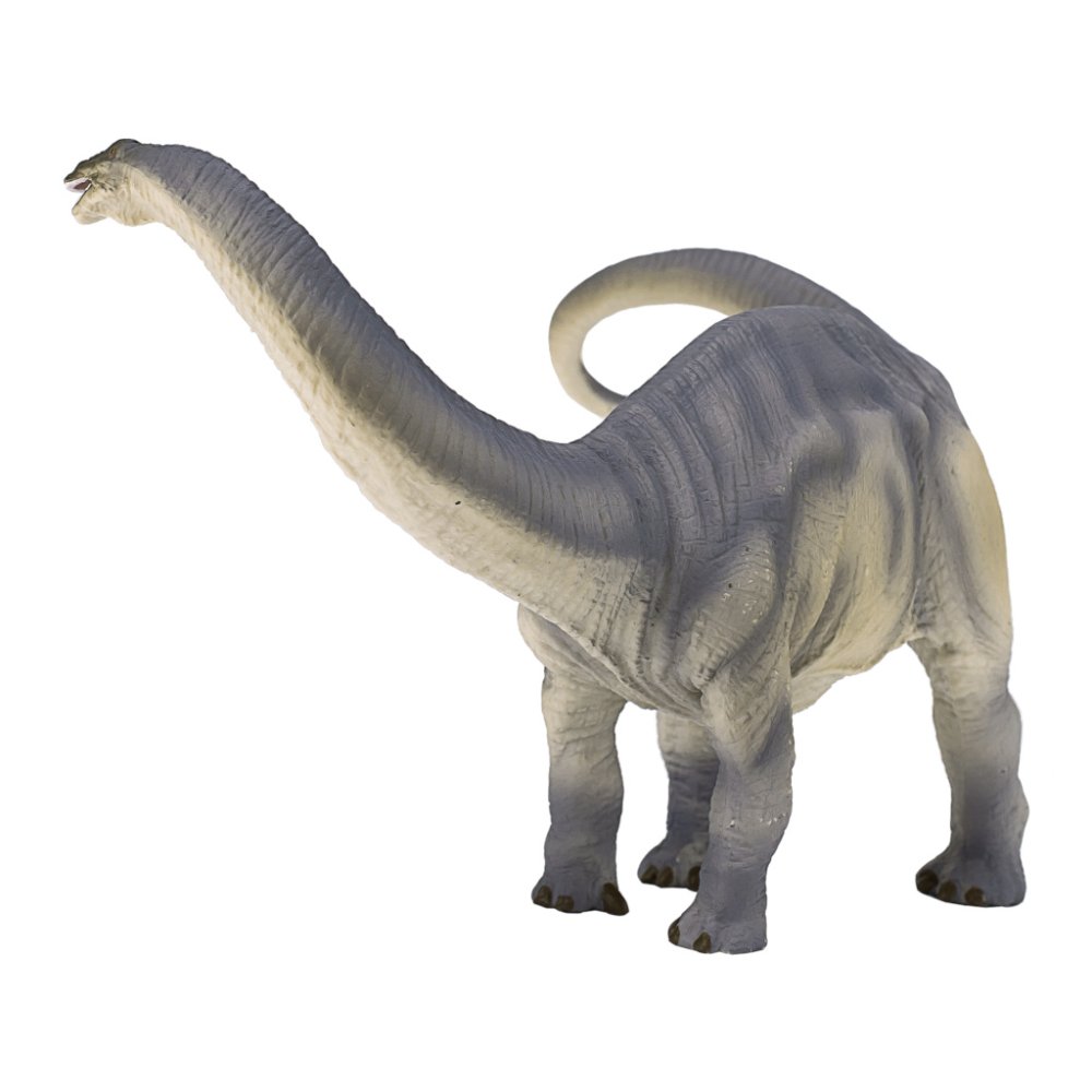 Mojo Brontosaurus (obrázek 4)