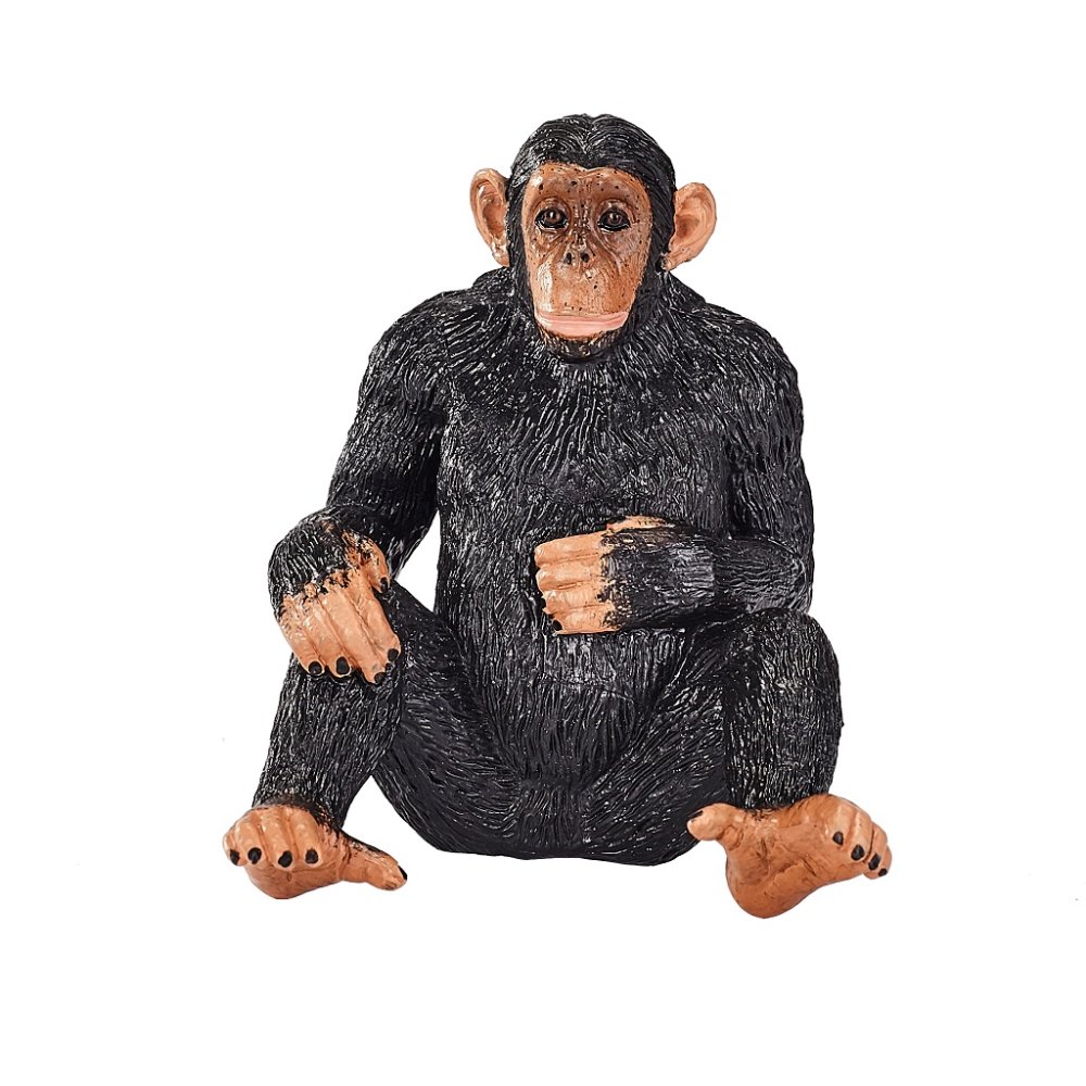 Mojo Chimpanzé – Image 5
