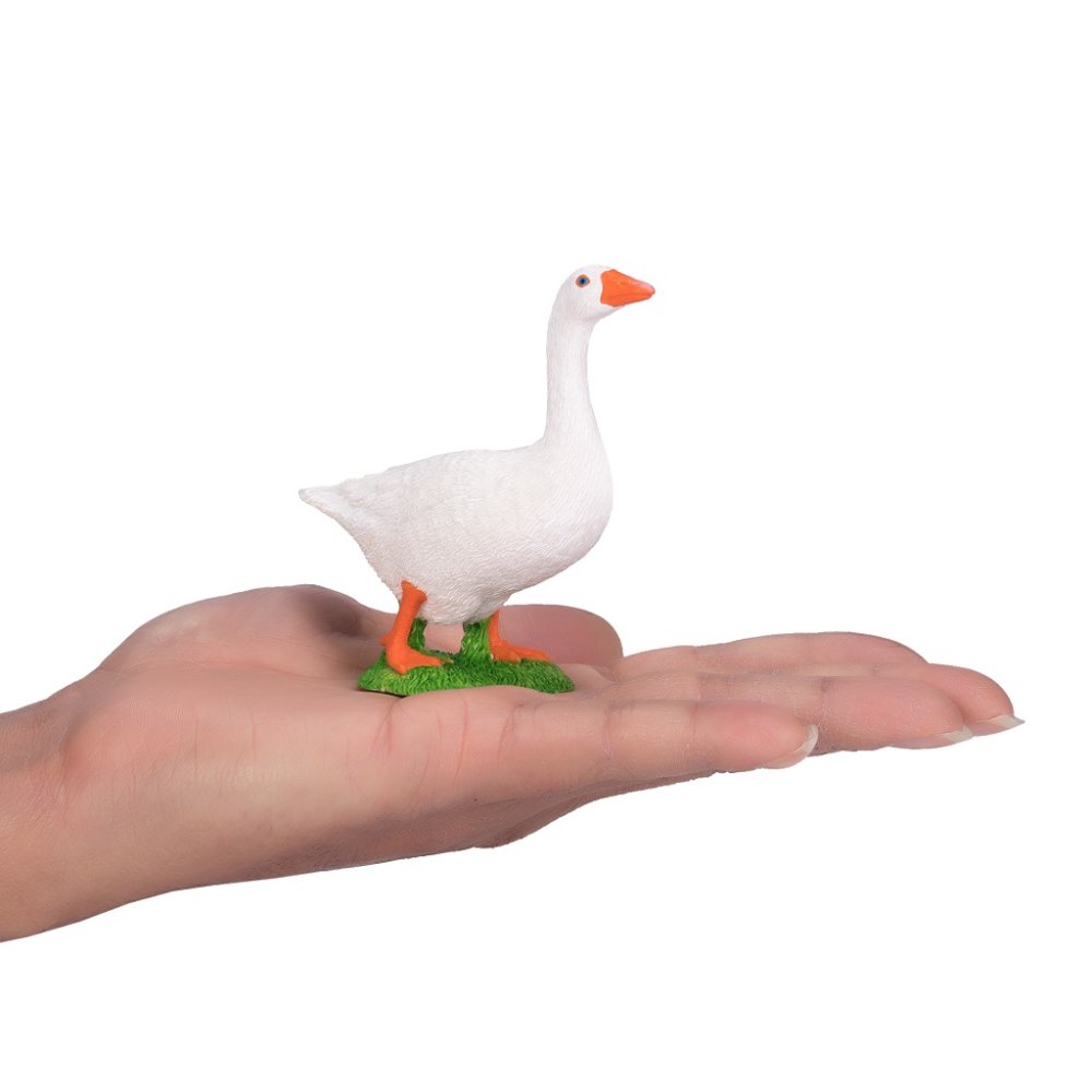 Mojo Oca domestica bianca - immagine 7