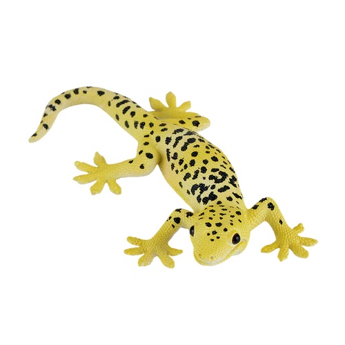 Mojo Geco leopardino
