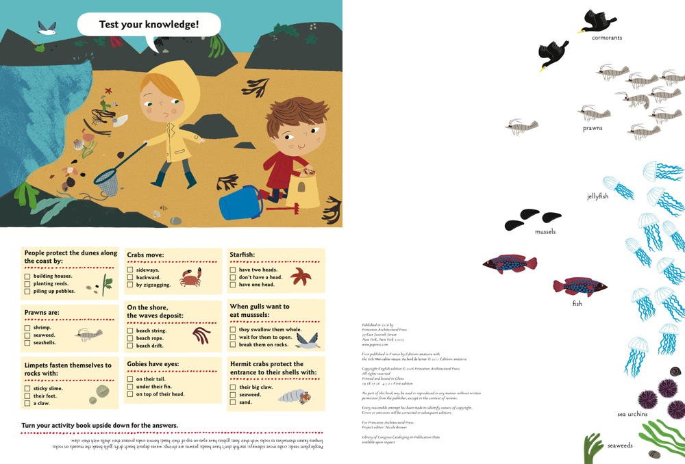 Chronicle Books Matricás foglalkoztató füzet - A tengerparton - Image 3