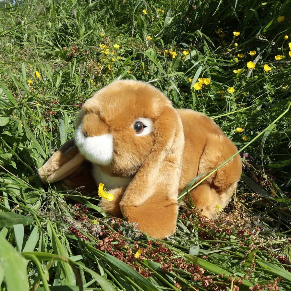 Rappa Conejo de peluche marrón 25 cm ECO-FRIENDLY - Imagen 5