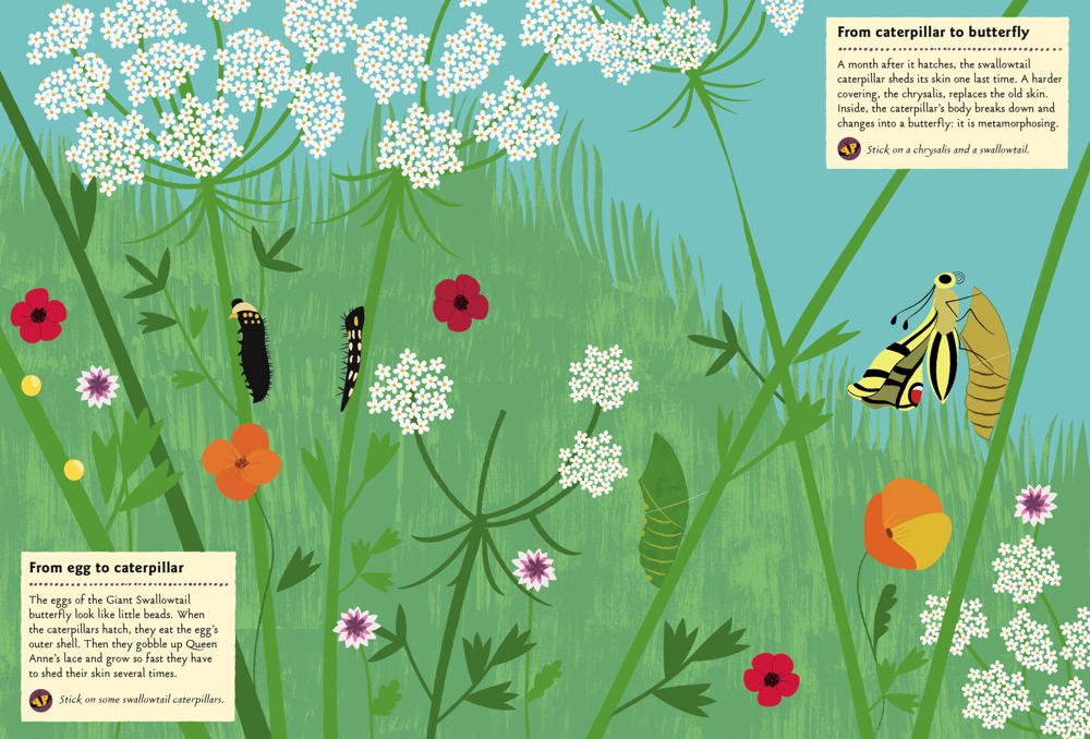 Chronicle Books Kniha aktivit se samolepkami my nature Motýli světa (obrázek 3)