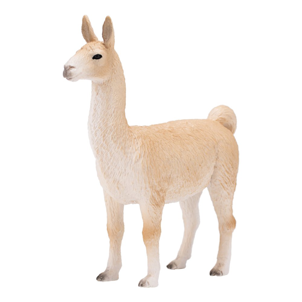 Mojo Lama (obrázek 3)