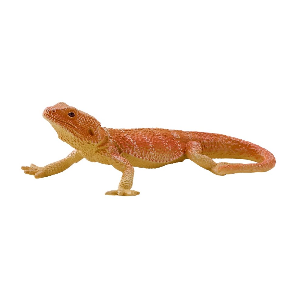 Mojo Agama (obrázek 3)