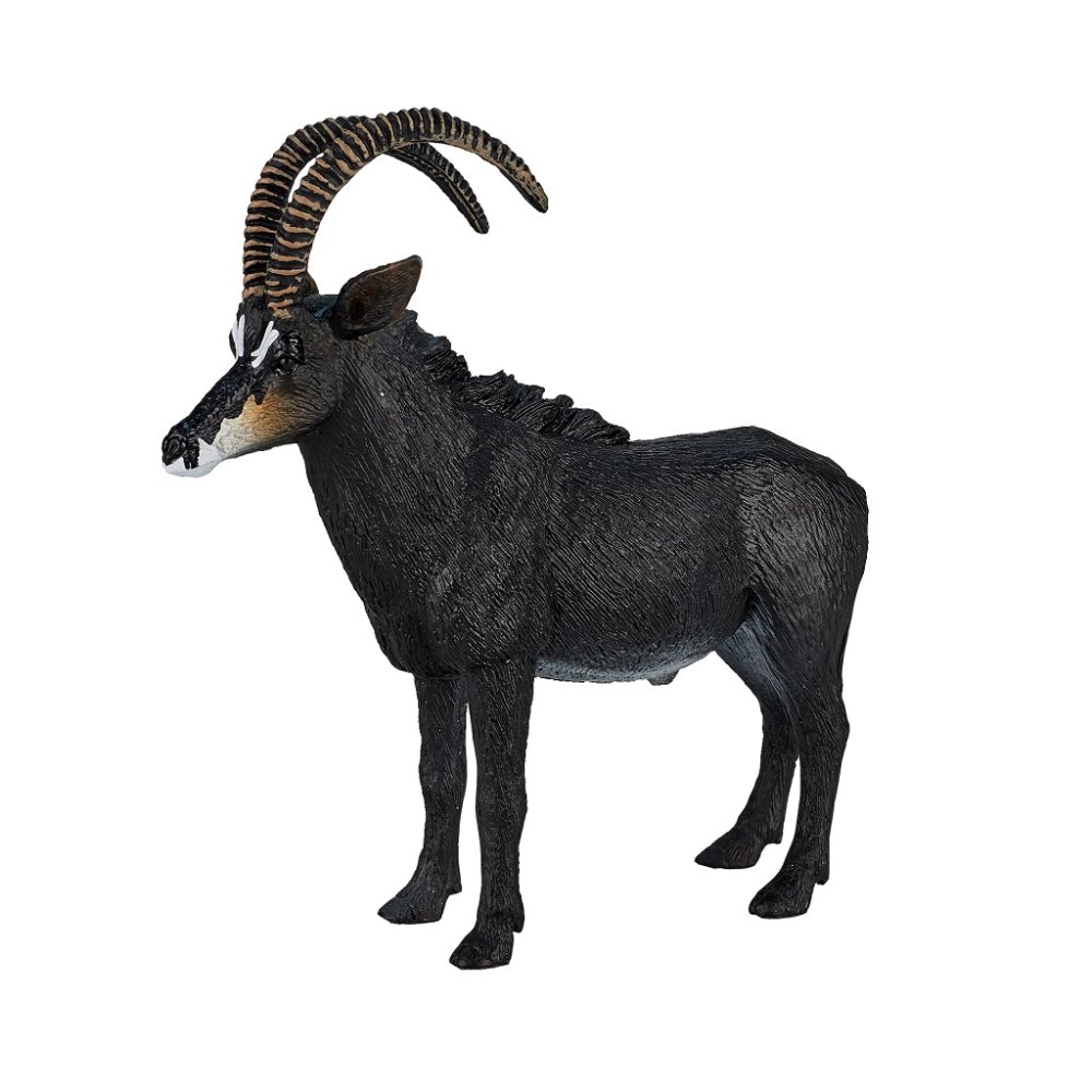 Mojo Antilopa vraná (obrázek 6)