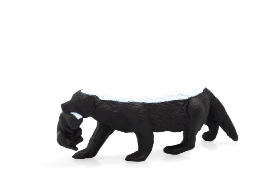 Mojo Tejón melero con cachorro