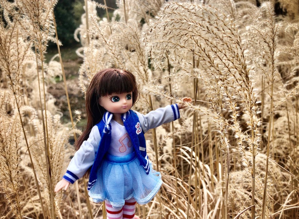 Lottie Panenka hudební fanynka (obrázek 11)