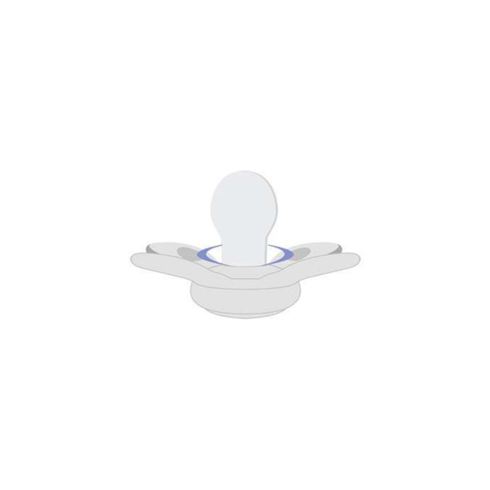 CHICCO Sucette Physio Comfort Silicone 6-16m garçon - pois/ours 2 pcs – Image 6