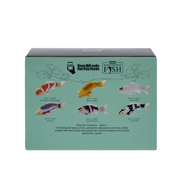 Mojo Kapr koi shiro utsuri v krabičce (obrázek 3)