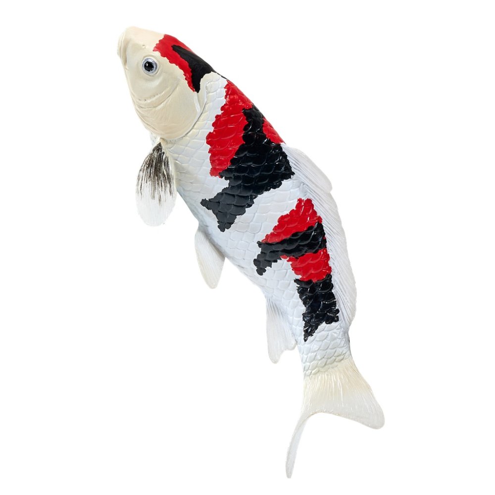 Mojo Kapr koi showa sanshoku (obrázek 3)