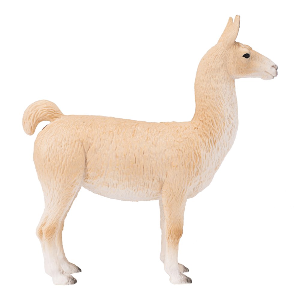 Mojo Lama (obrázek 2)
