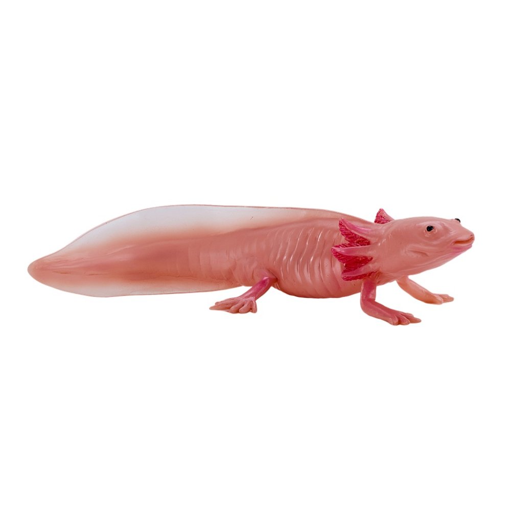 Mojo Axolotl (obrázek 5)