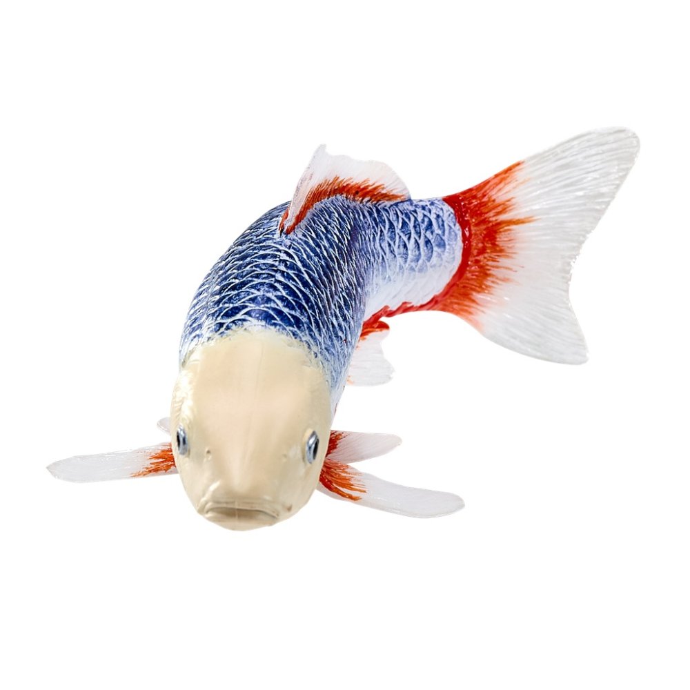 Mojo Kapr koi asagi (obrázek 9)