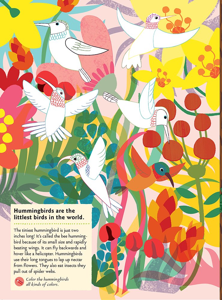 Chronicle Books Kniha aktivit se samolepkami my nature Ptáci světa (obrázek 3)