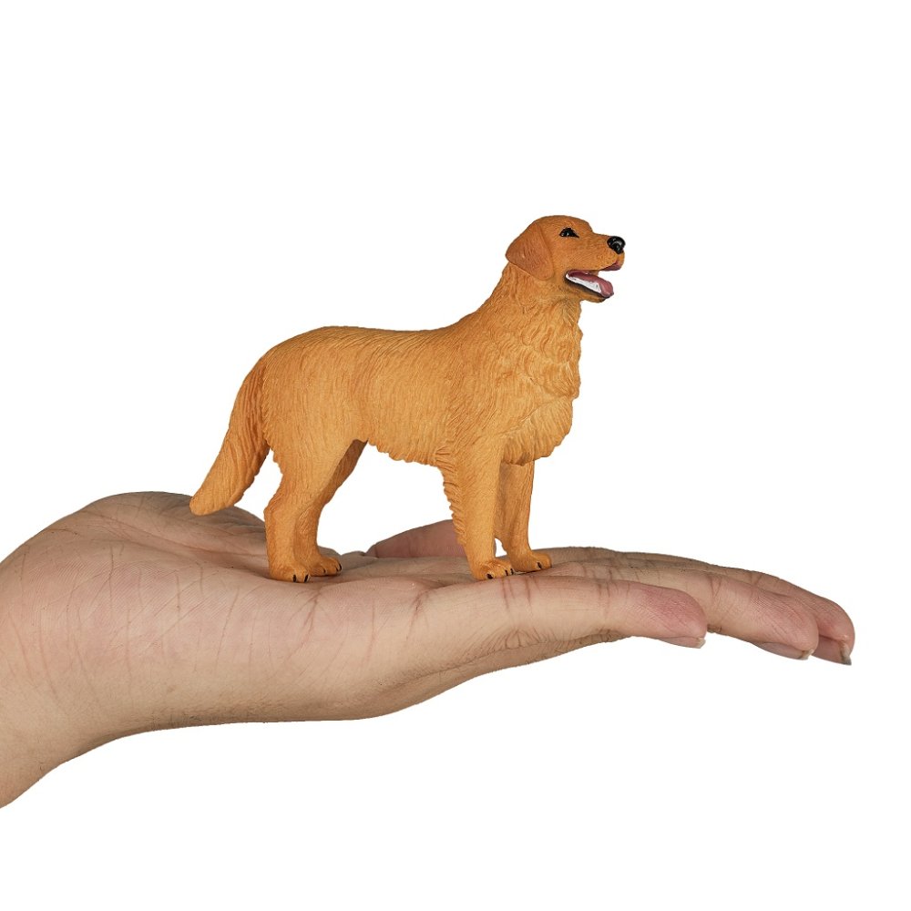 Mojo Zlatý retrívr (obrázek 2)