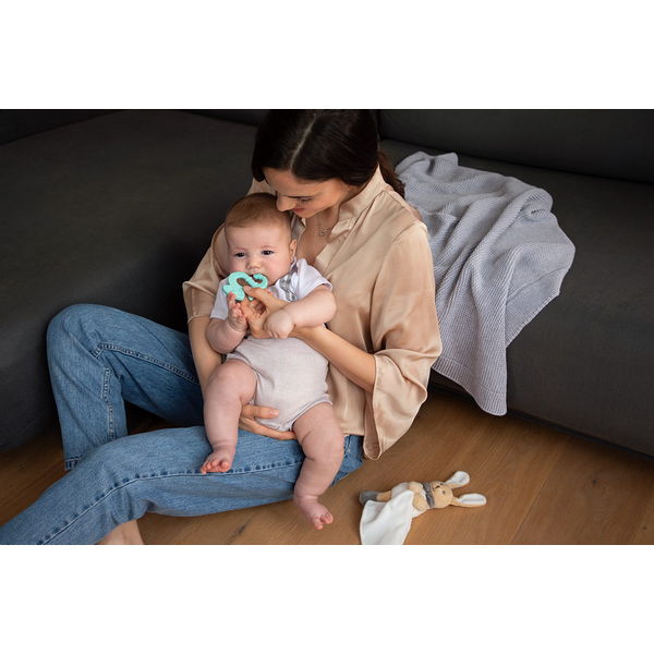 CHICCO Anneau de dentition en silicone Super Soft Caméléon rose 2m+ – Image 5