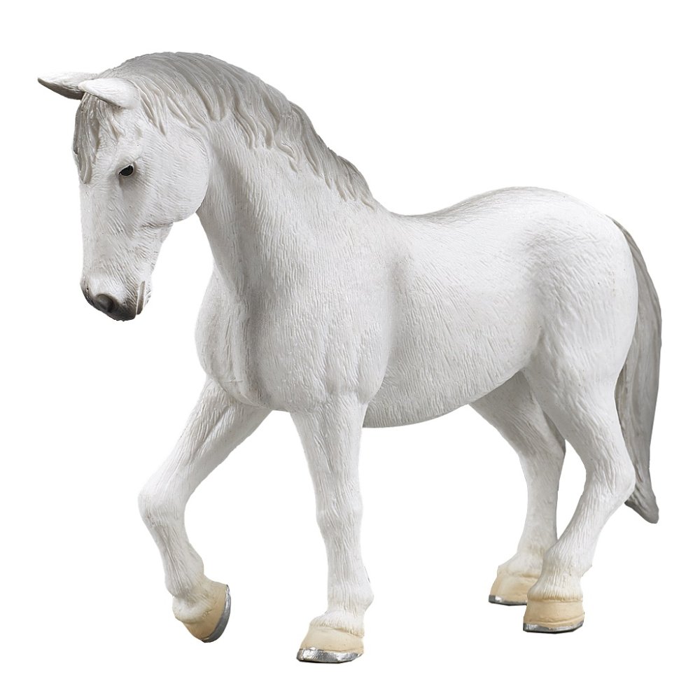 Mojo Jument Lipizzan