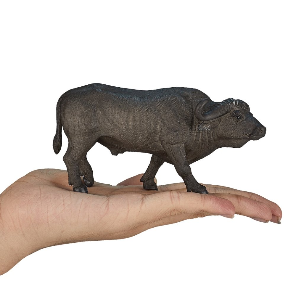 Mojo Buffle africain – Image 7