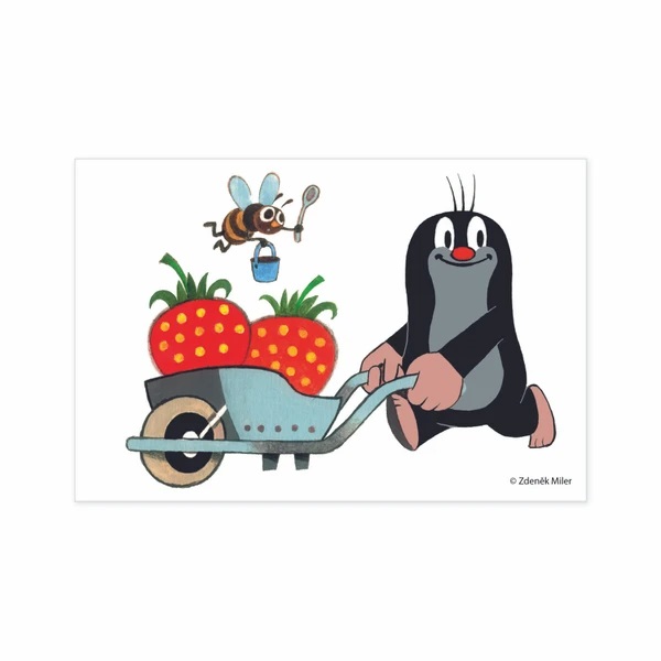 Dino Dřevěné obrázkové kostky Krtek 6 ks (obrázek 9)