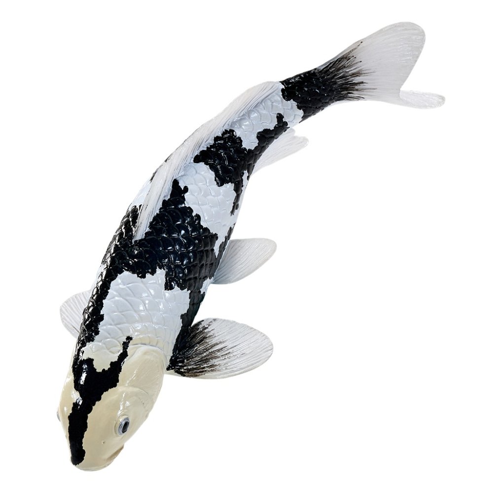 Mojo Karp koi shiro utsuri - obrazek 5