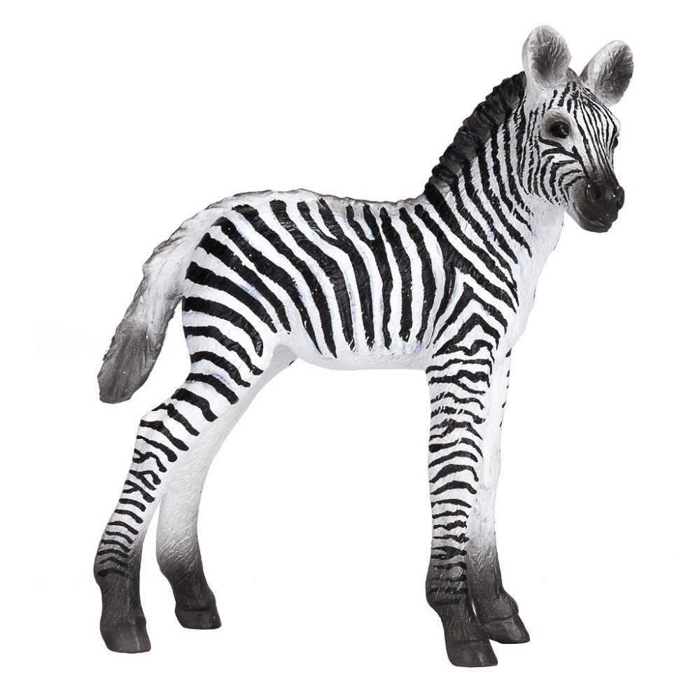 Mojo Zebra mládě (obrázek 5)