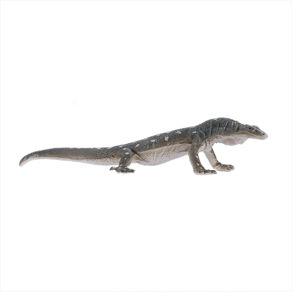 Mojo Varan obrovský (obrázek 6)