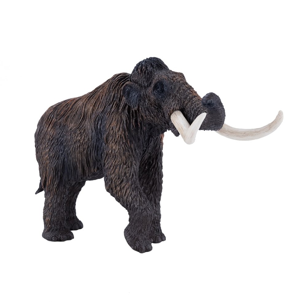Mojo Mamut srstnatý (obrázek 4)