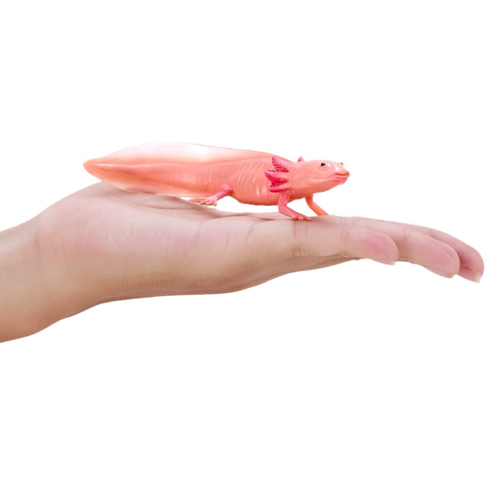 Mojo Axolotl (obrázek 4)