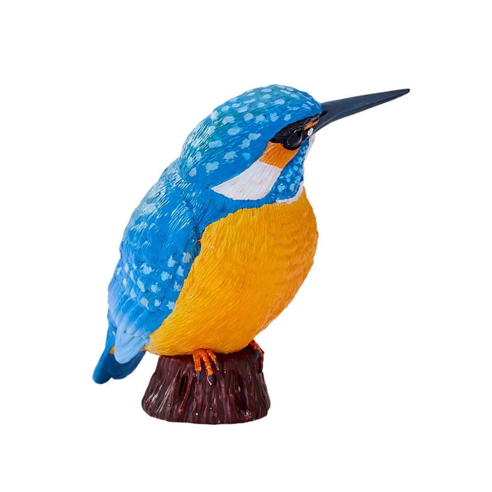 Mojo Martín Pescador Común - Imagen 5