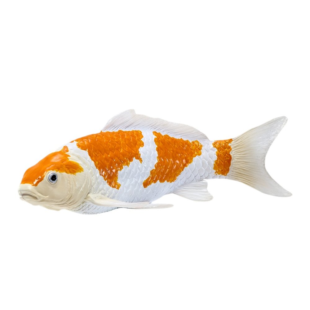 Mojo Kapr koi ochiba shigure (obrázek 9)