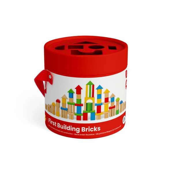 Bigjigs Toys První dřevěné kostky a vkládačka v bubínku (obrázek 5)
