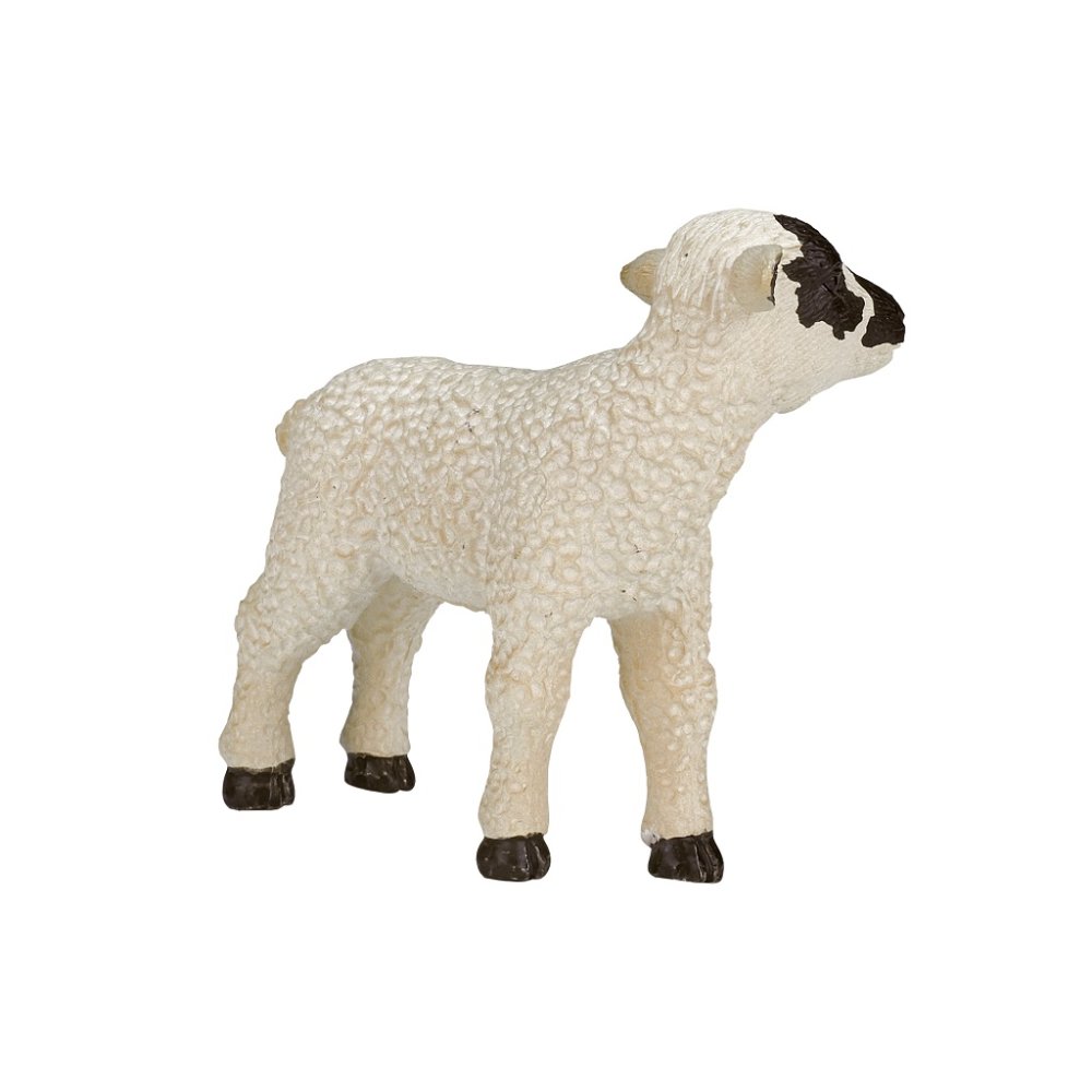 Mouton Hampshire Mojo debout – Image 4