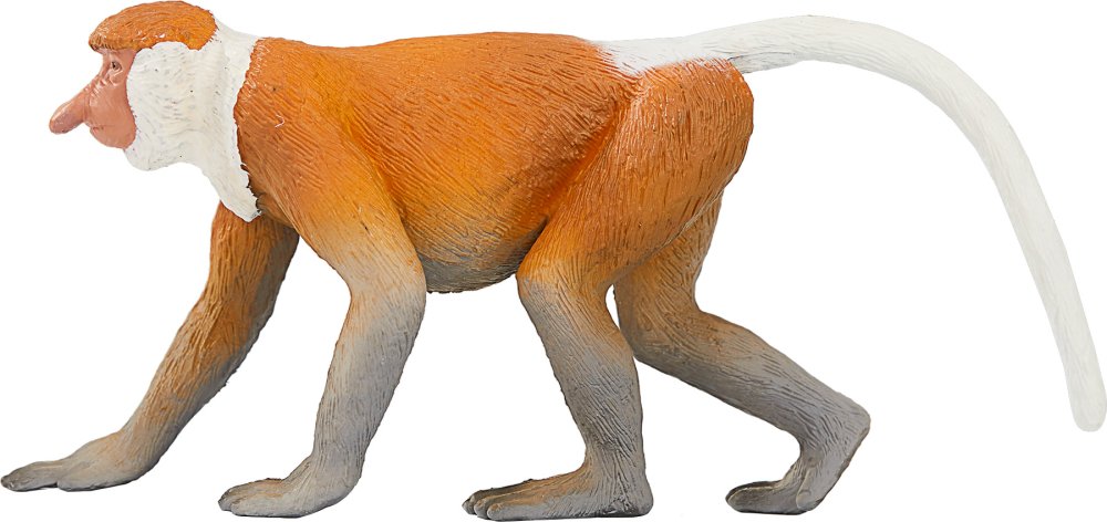 Mojo Nasique – Image 3