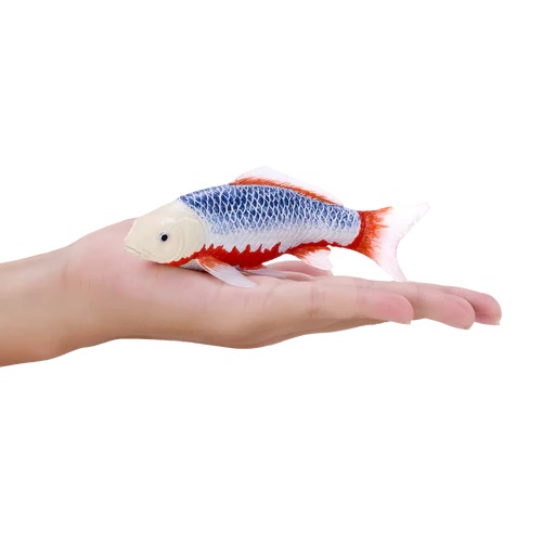 Mojo Kapr koi asagi v krabičce (obrázek 3)