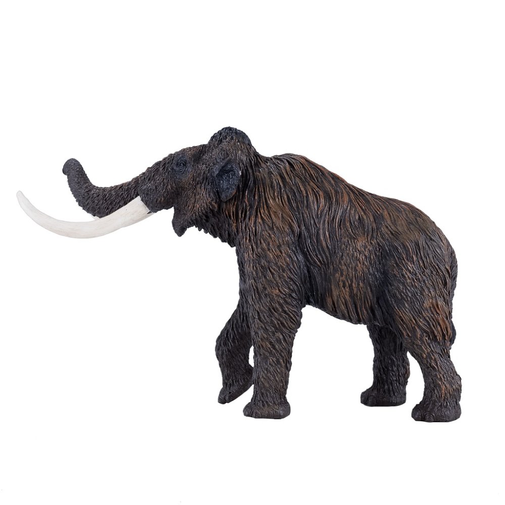 Mojo Mamut srstnatý (obrázek 5)