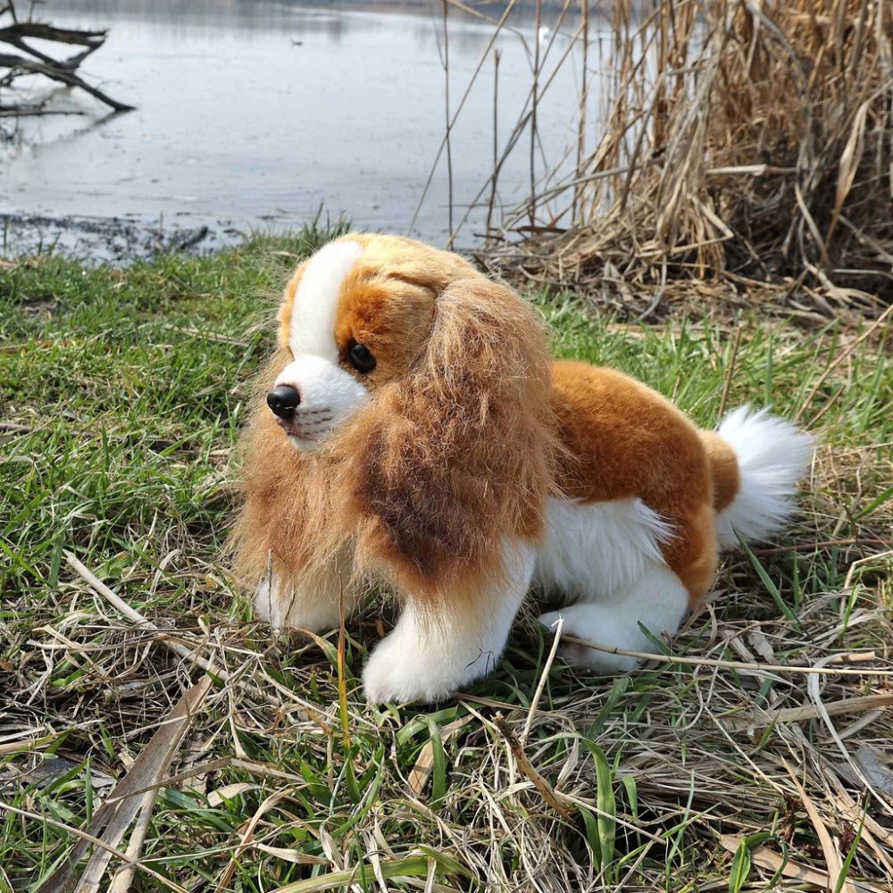 Rappa Plyšový pes kavalír King Charles španěl 28 cm ECO-FRIENDLY (obrázek 5)