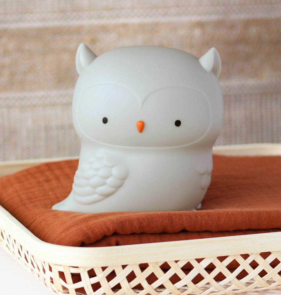 A Little Lovely Company - piccola luce notturna - gufo - immagine 5